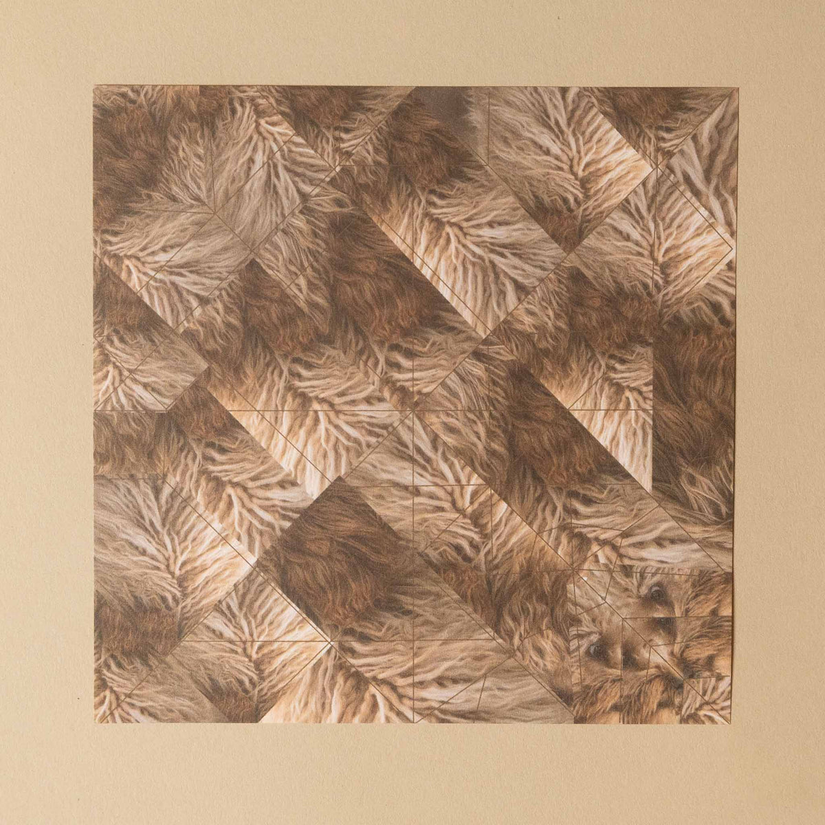 make-your-own-origami-paper-pups paper examples showing folding lines