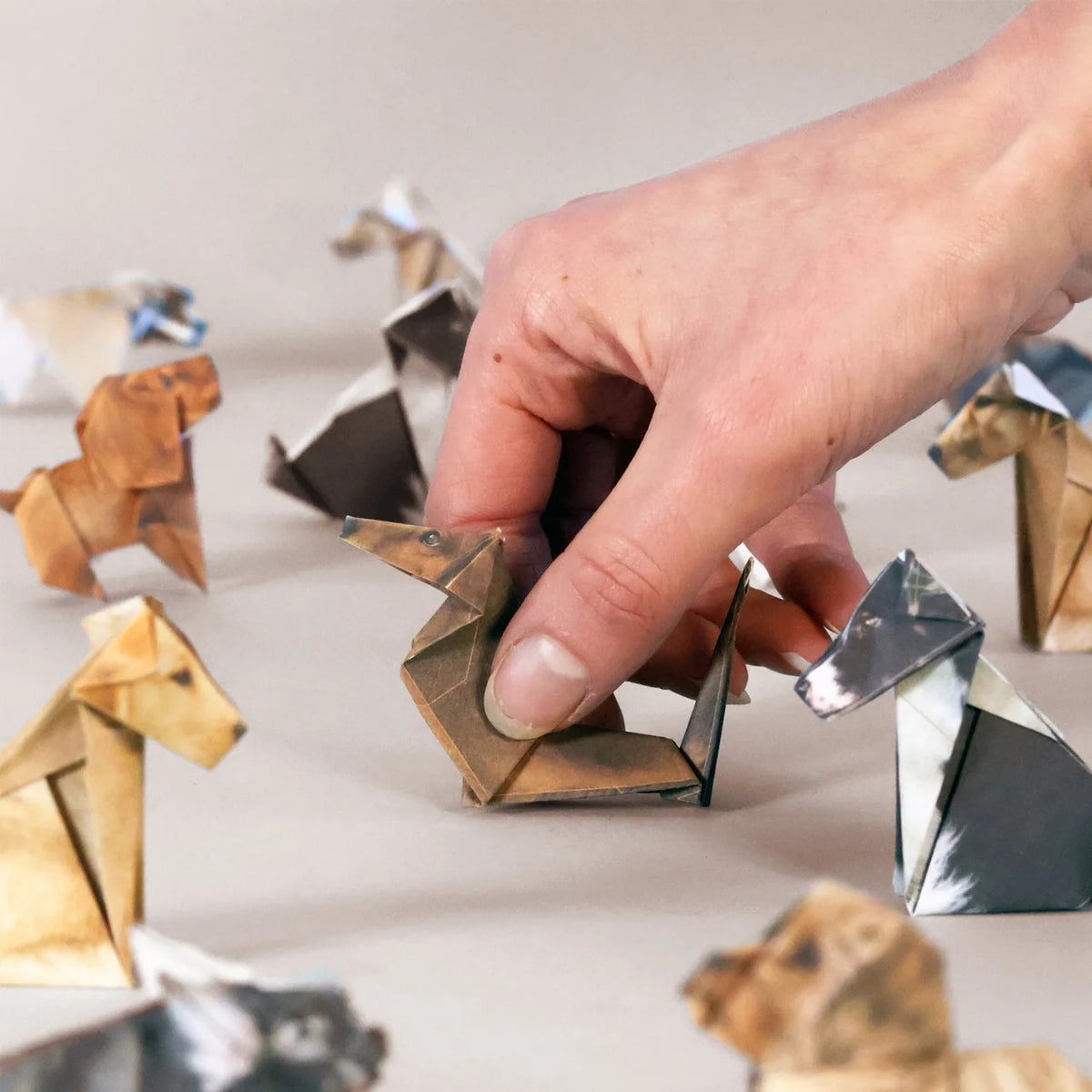 make-your-own-origami-paper-pups-completed origami