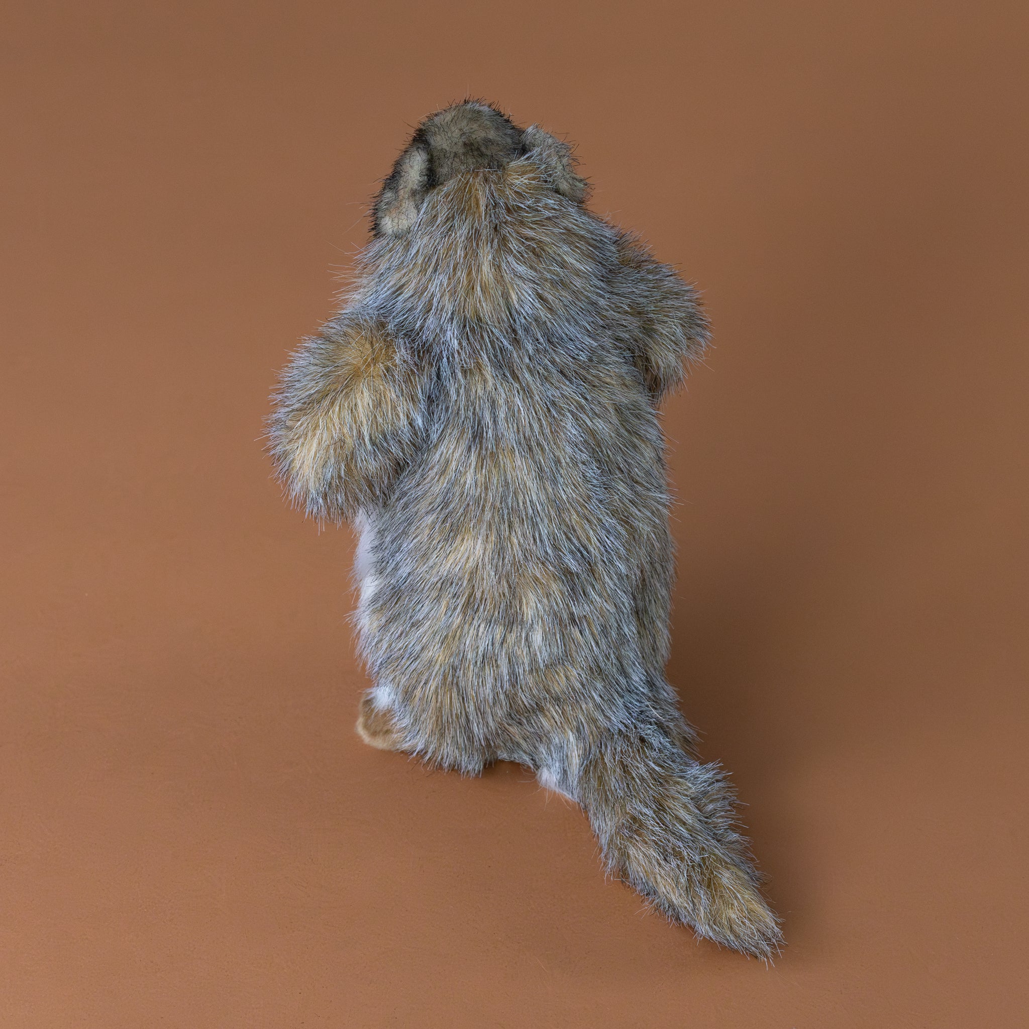 marmot--standing-large-stuffed-animal-back-and-tail