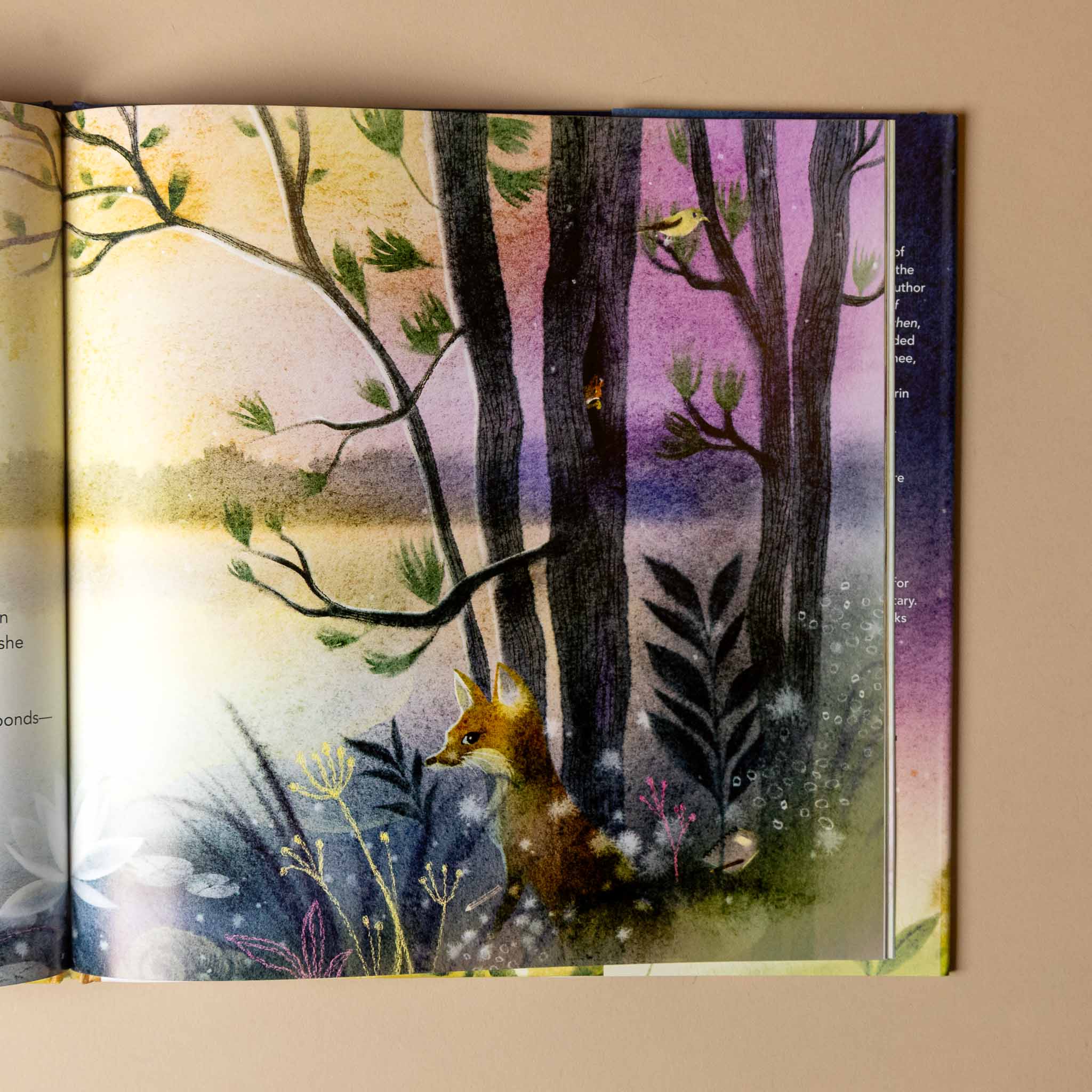 mary-oliver-holding-on-to-wonder Illustration of a fox in a forest scene on a book page.