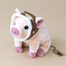 Load image into Gallery viewer, maybe-piggy-stuffed-animal