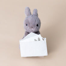 Load image into Gallery viewer, messenger-bunny-with-envelope-for-special-message-stuffed-animal