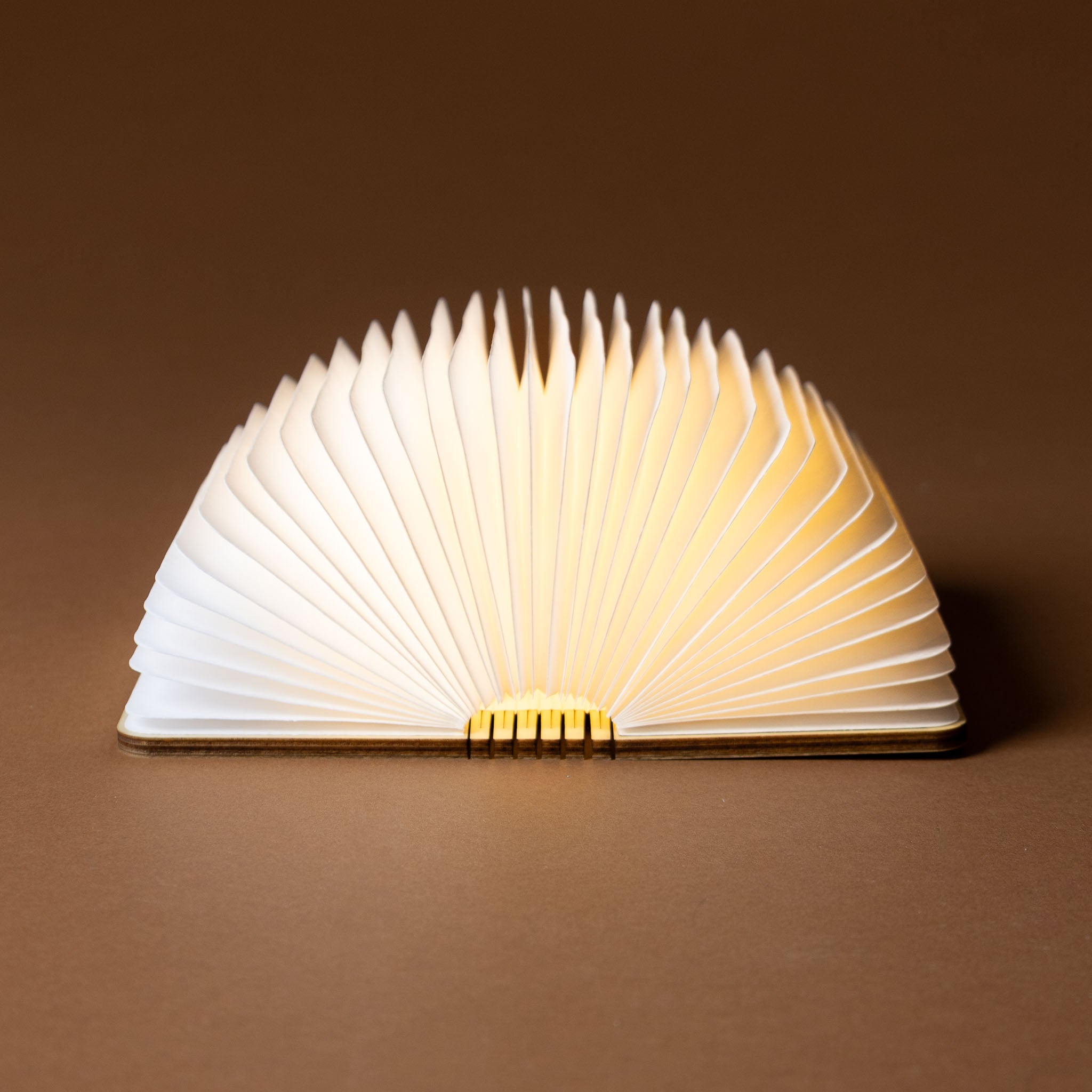 Miniature Wooden Book Lamp| Maple