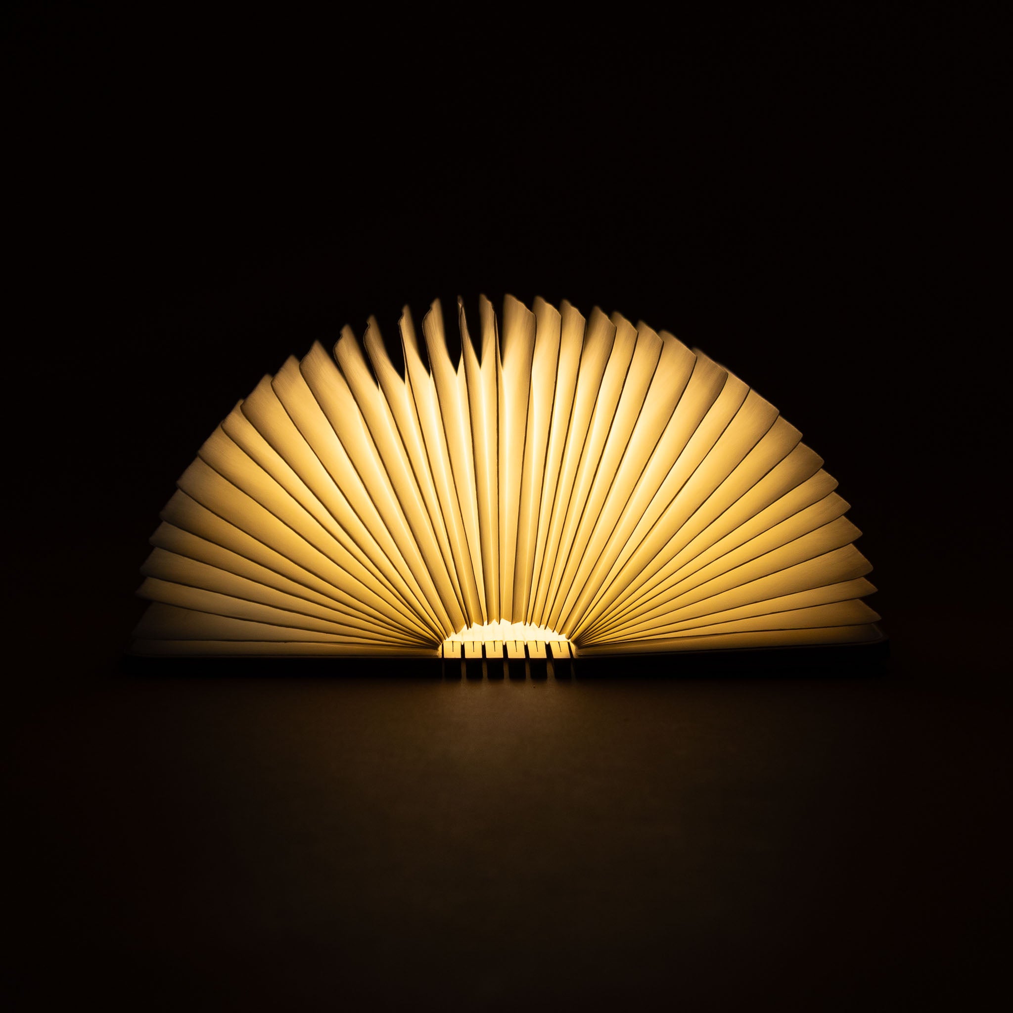 Miniature Wooden Book Lamp| Maple