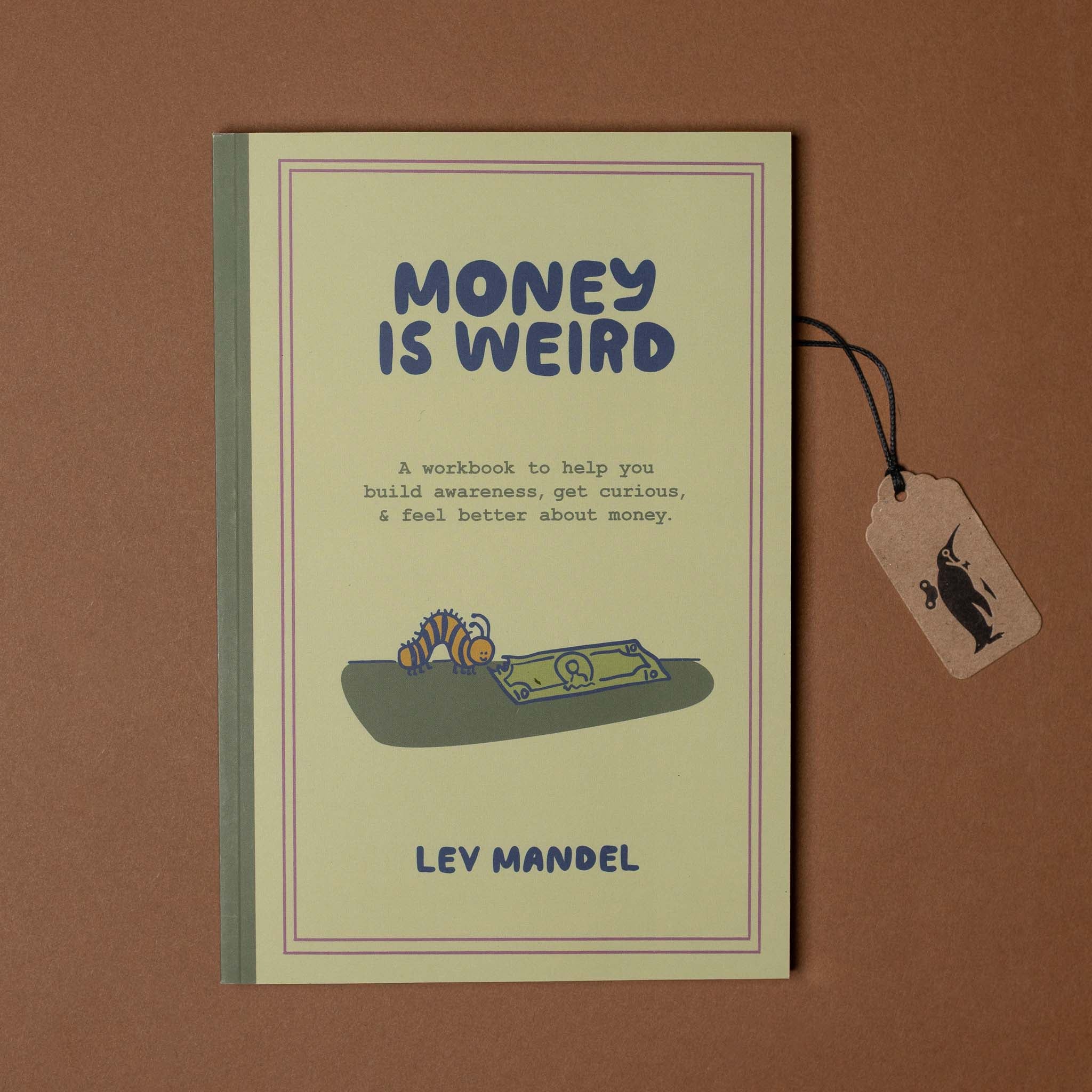 Book titled 'Money is Weird' by Ley Mandel on a brown background