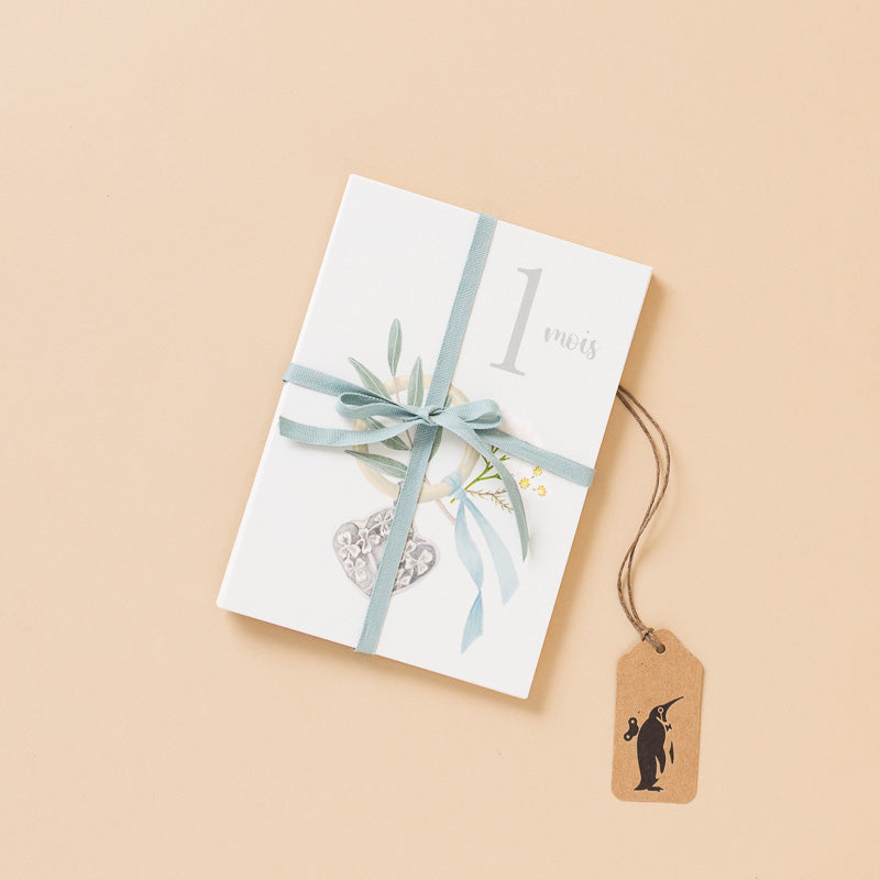 my-first-year-milestones-card-set_