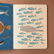Load image into Gallery viewer, A page from My Little Ocean Board Book by Katrin Wiehle showing a school of fish and a seal