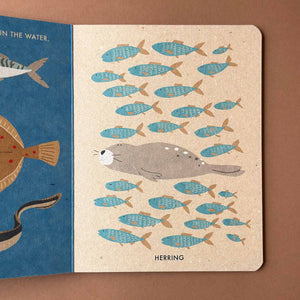 A page from My Little Ocean Board Book by Katrin Wiehle showing a school of fish and a seal