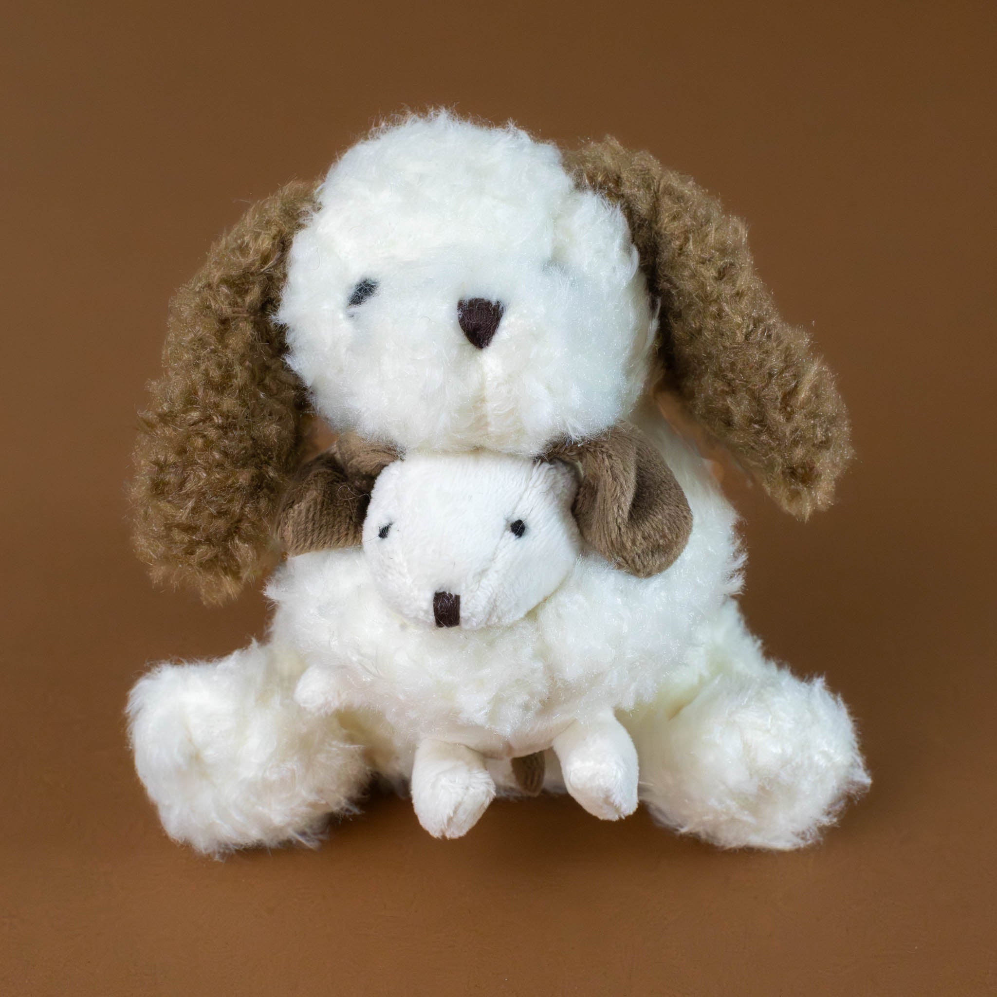 nafi-and-baby-puppy-brown-and-white-with-puppy-in-nafis-arms