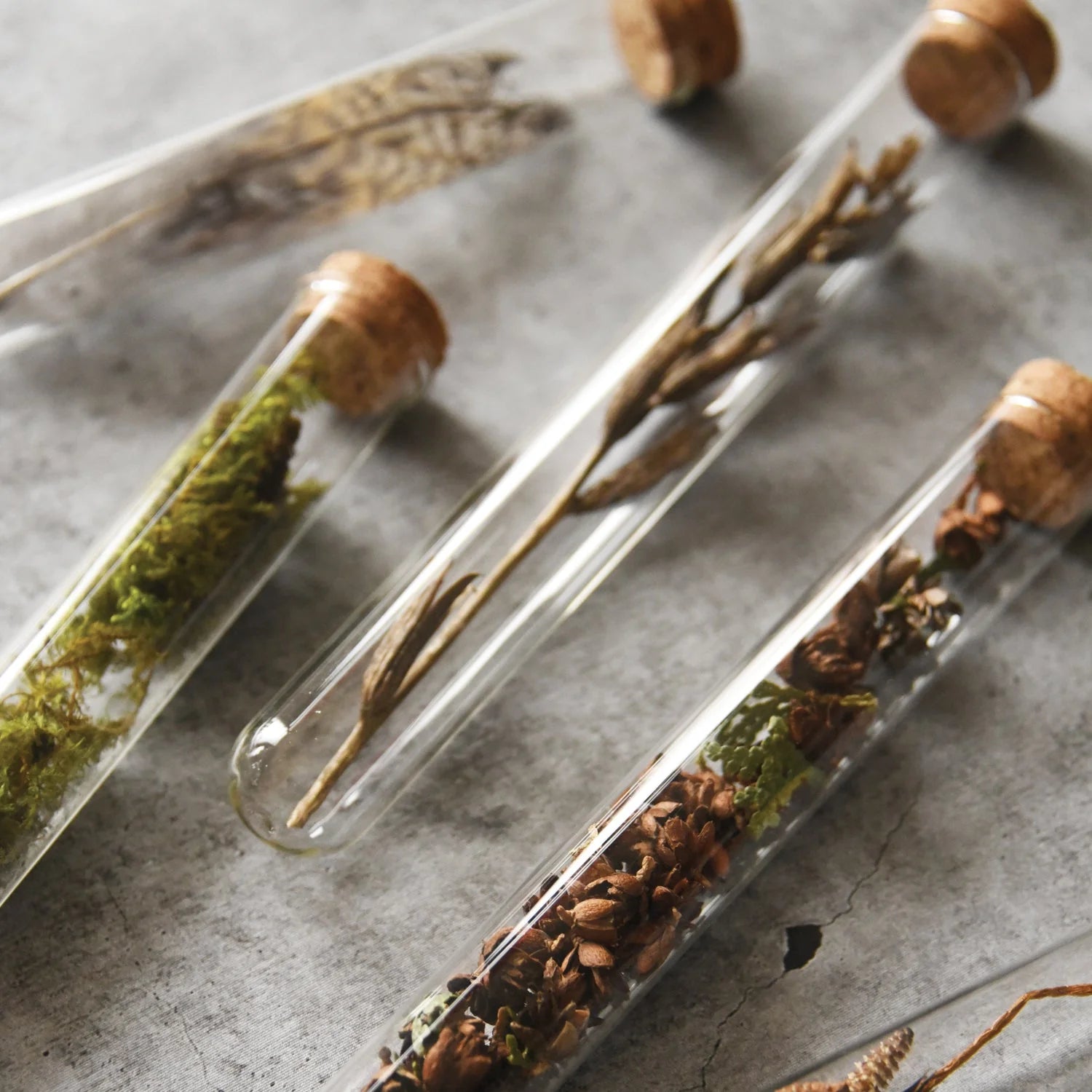 Pencil Terrarium | Earth