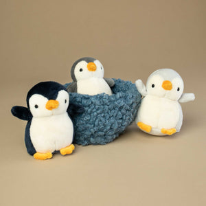 full-detail-of-penguins-outside-the-nest