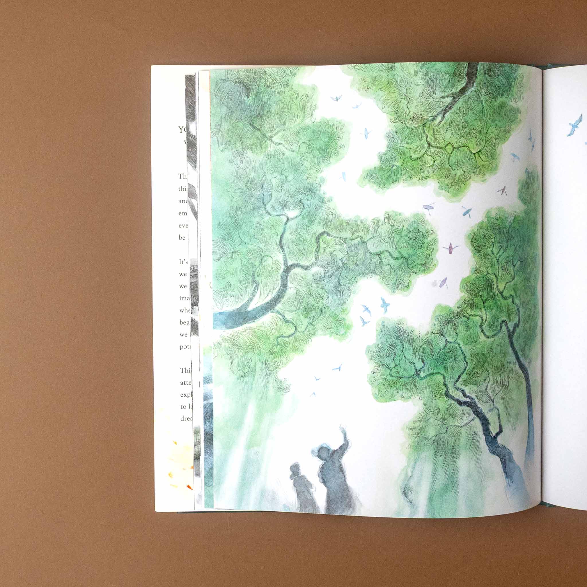 noticing-book