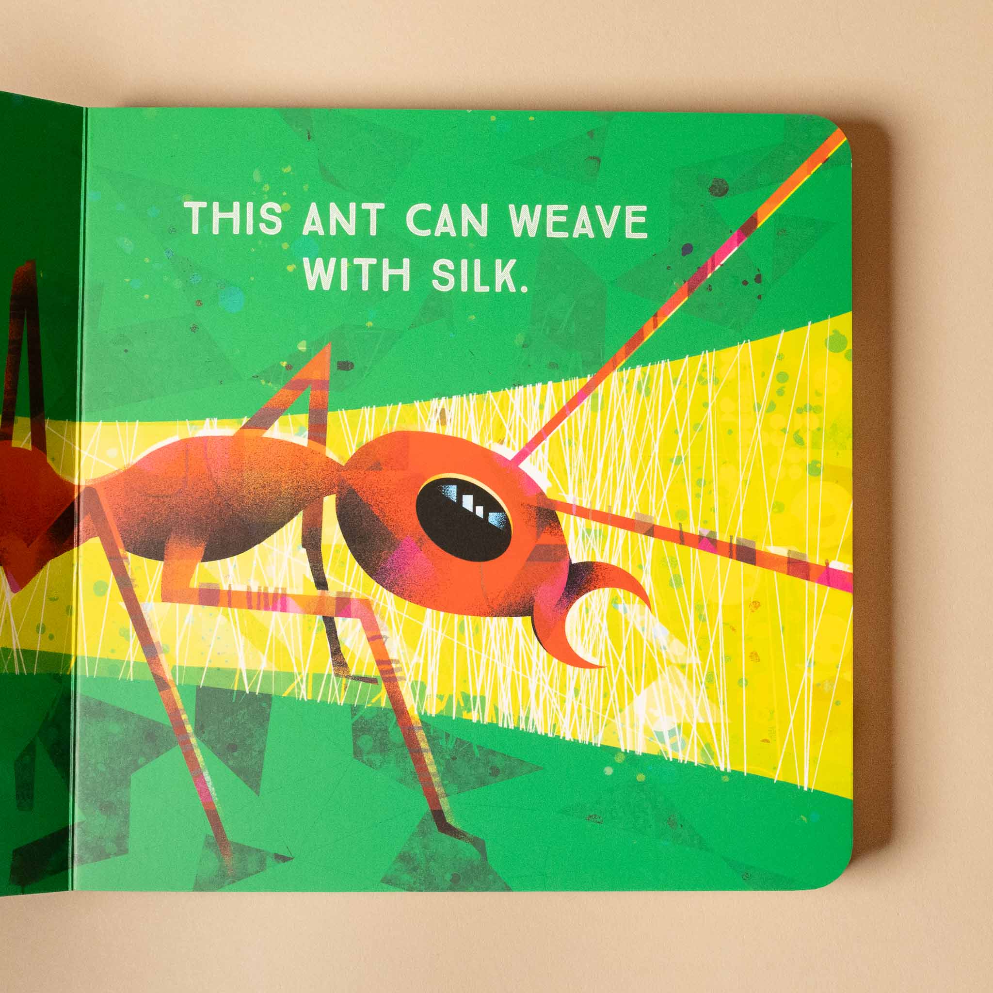 Children's odd-bugs-board-book cover with an ant and text on a green and yellow background
