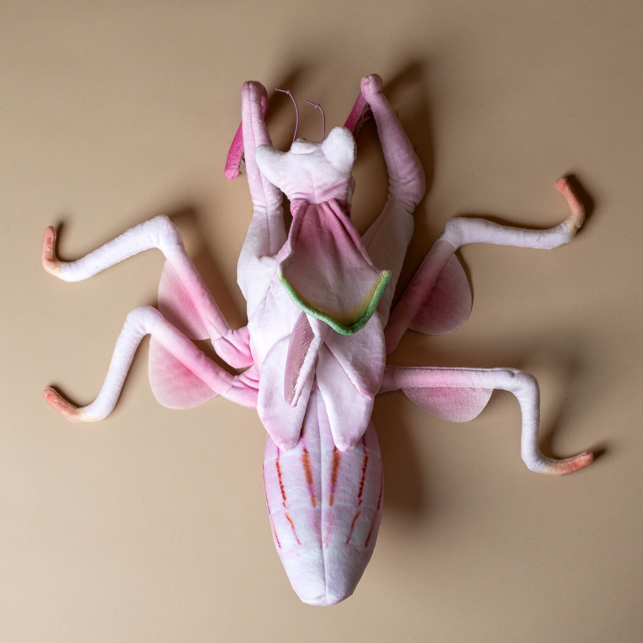 orchid-mantis-hand-puppet