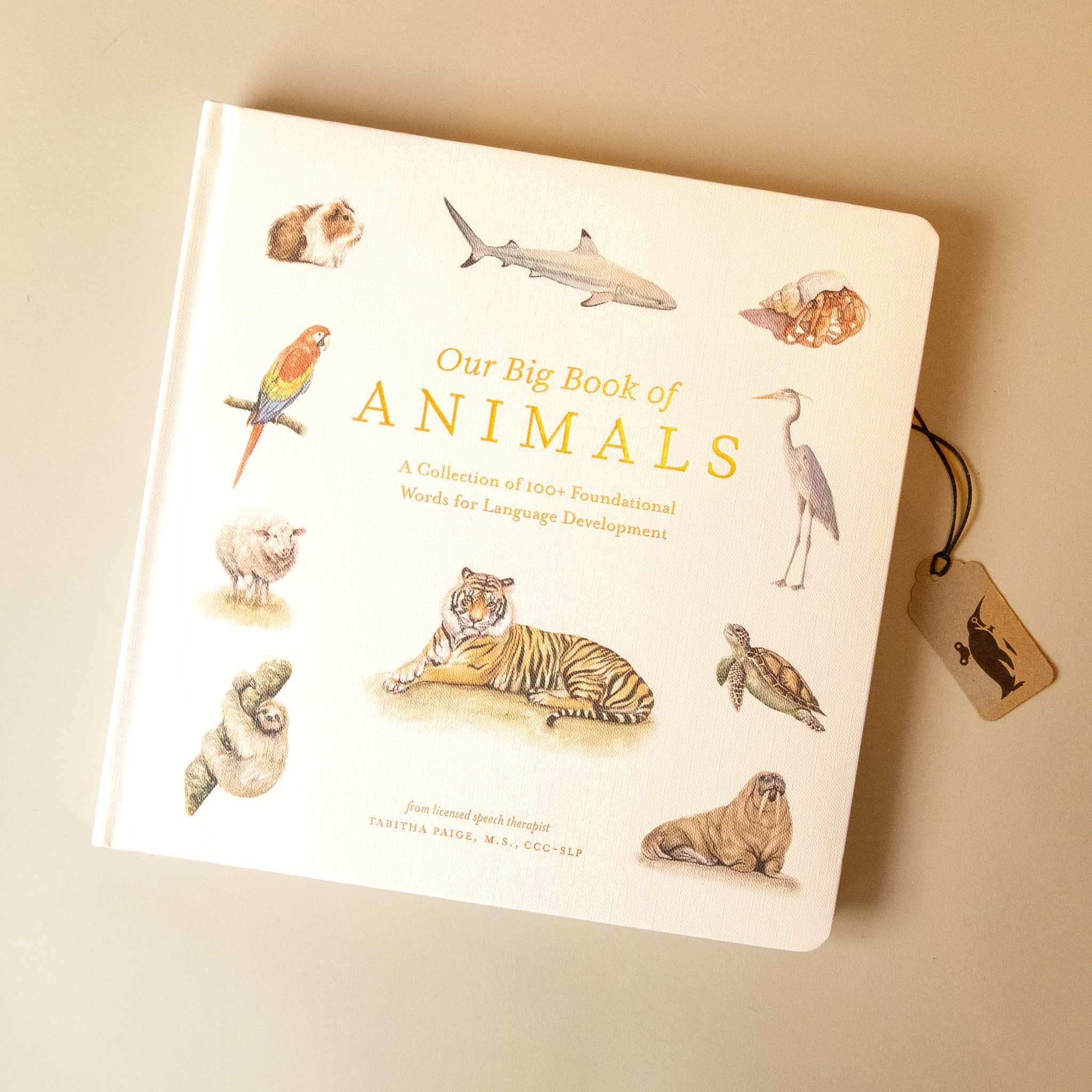 our-big-book-of-animals cover-with animal illustrations
