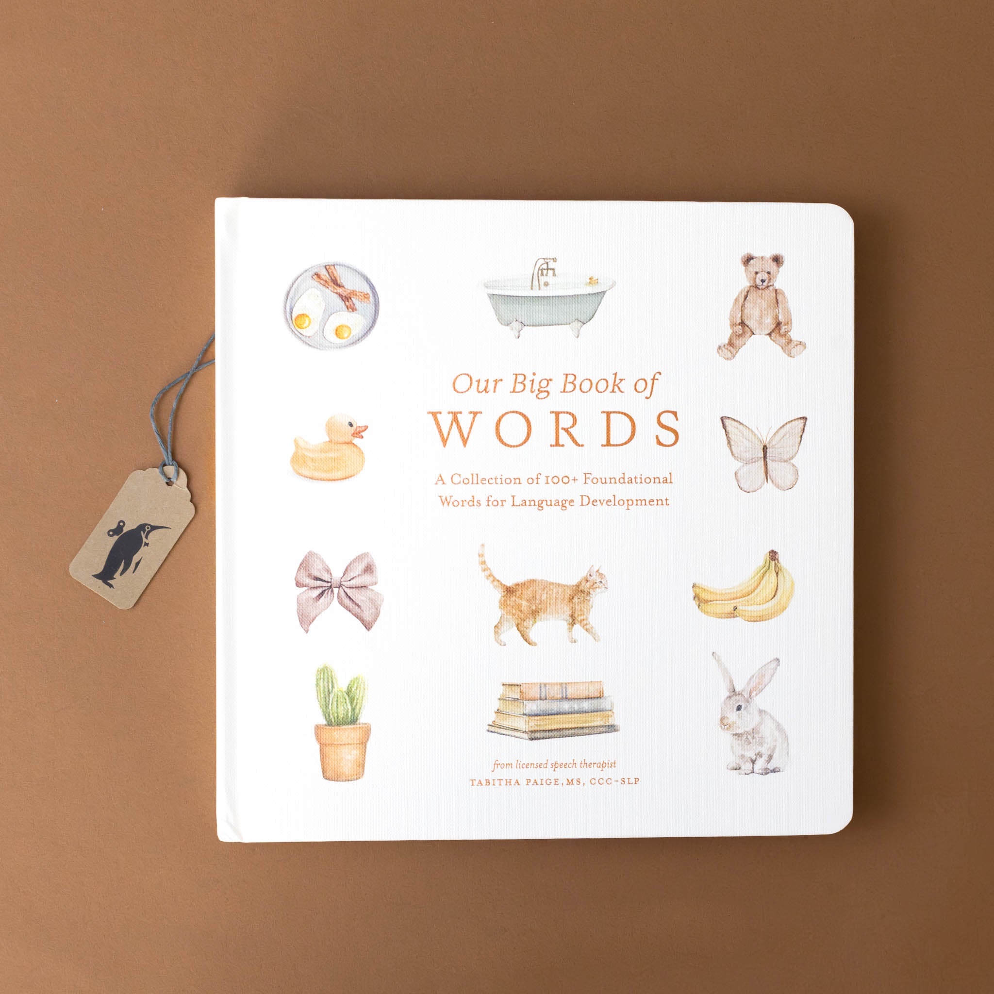 our-big-book-of-first-words-cover-with-soft-watercolor-pictures-of-bear-tub-butterfly-bow-duck-books