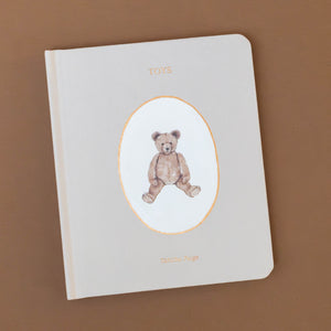 book-labeled-toys-with-a-teddy-bear-on-cover