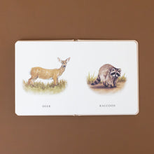 Load image into Gallery viewer, picture-labeled-deer-and-raccoon