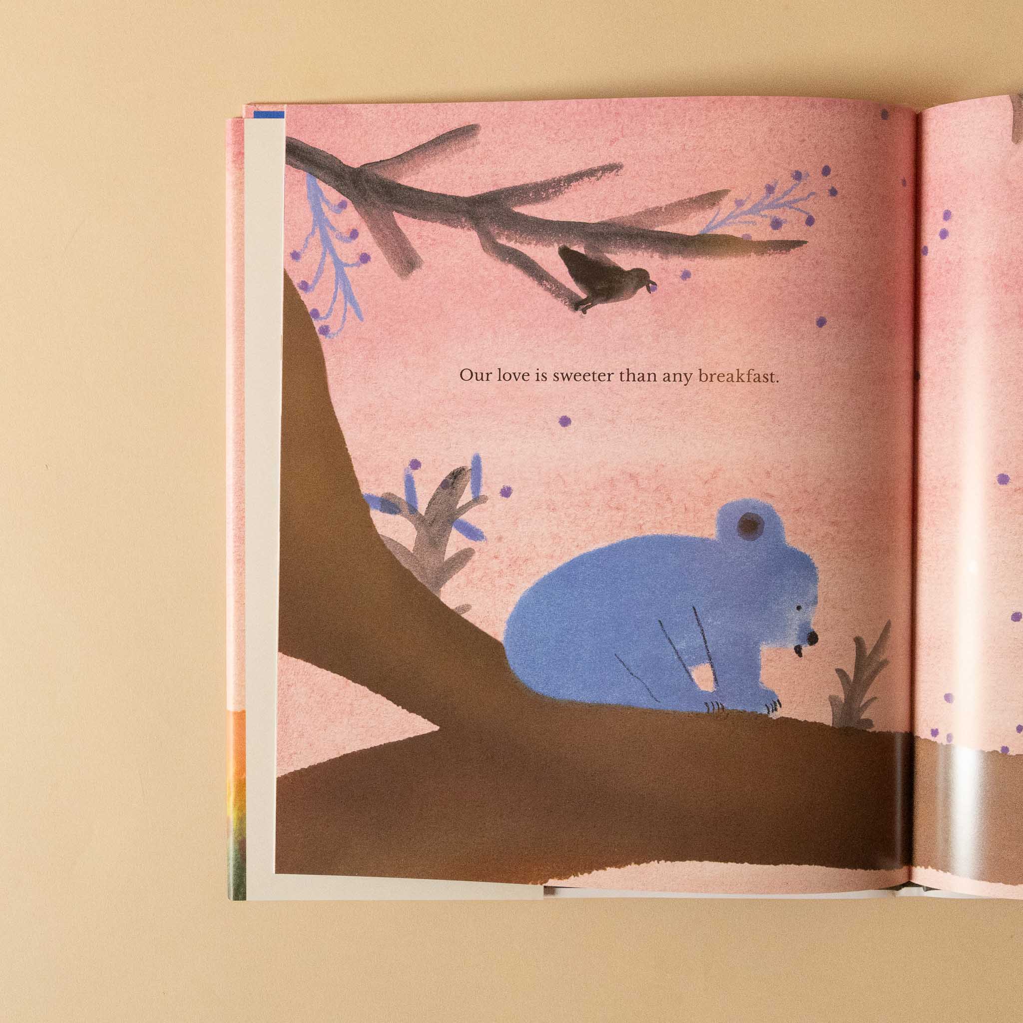 our-love-book-with-page-open-to-koala