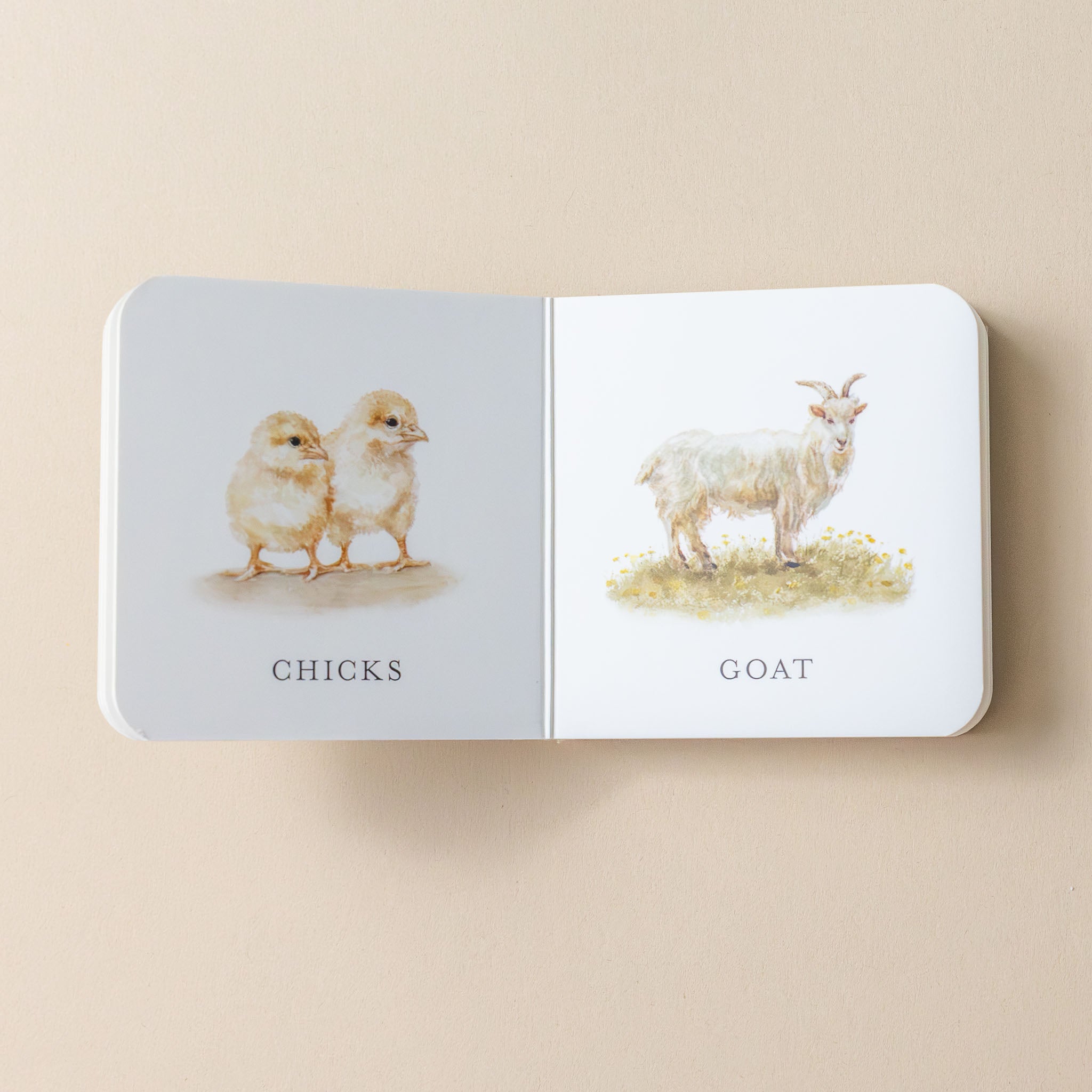 our-very-little-library-box-set-interior-page-showing-baby-chicks-and-goat