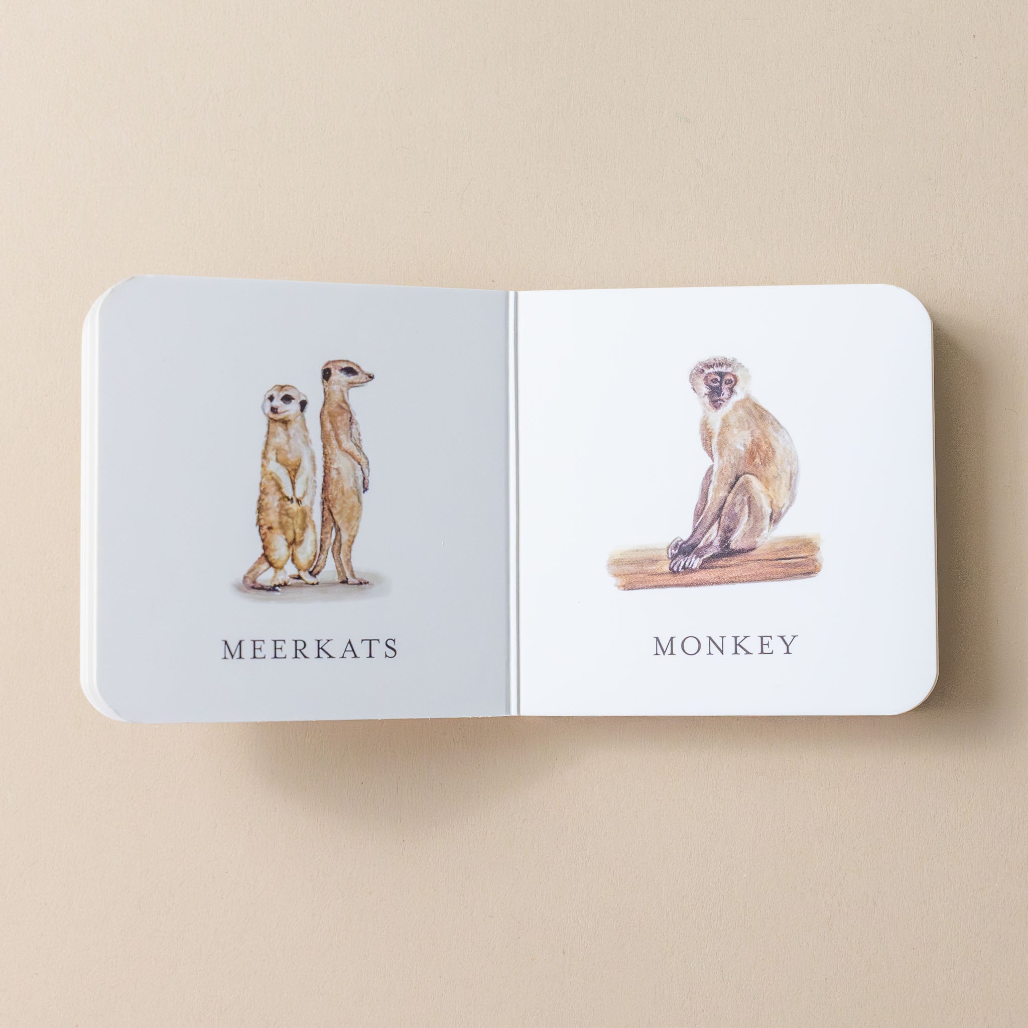 our-very-little-library-box-set-interior-page-with-text-and-illustration-of-meerkats-and-monk