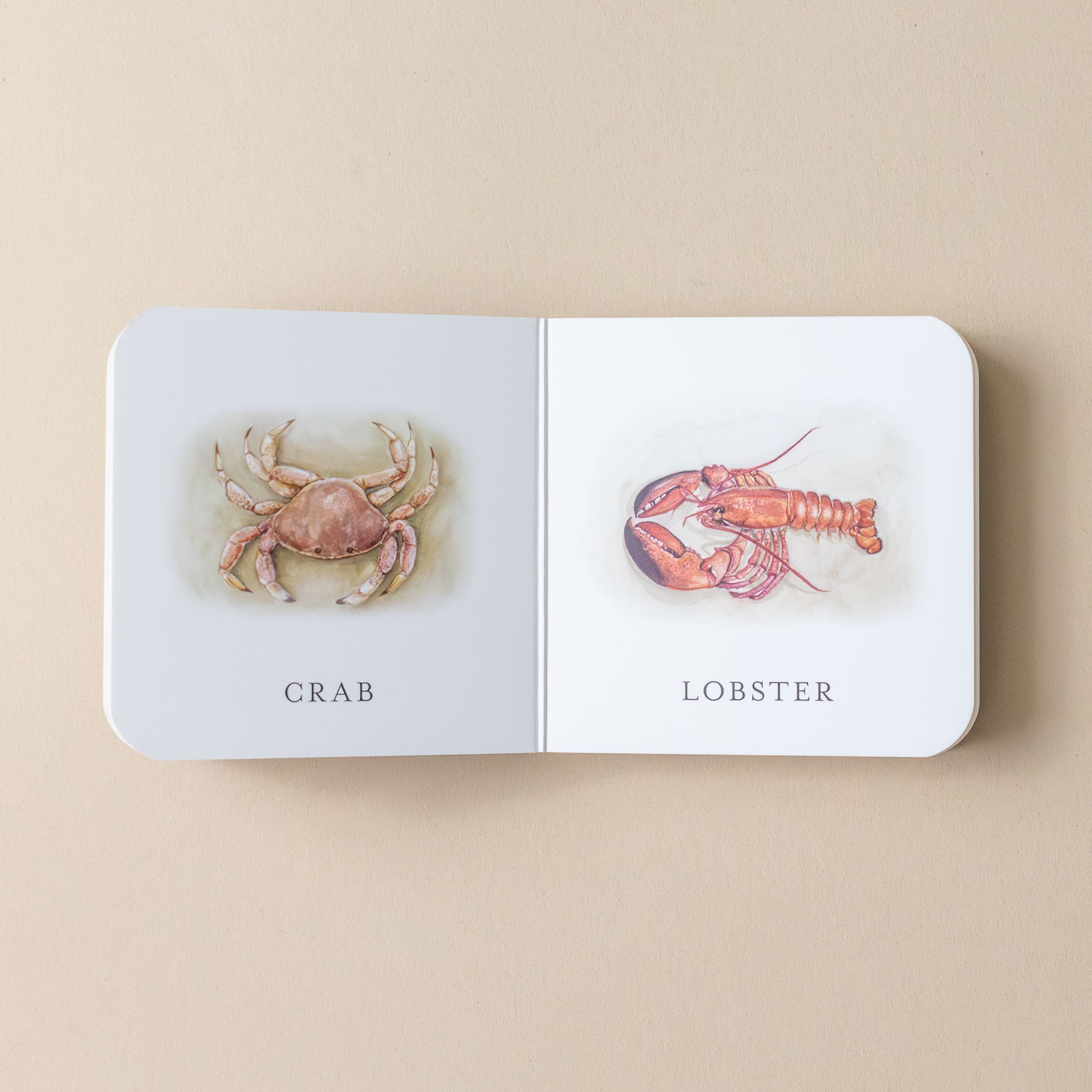 our-very-little-library-box-set-interior-page-with-text-and-illustration-a-crab-and-lobster