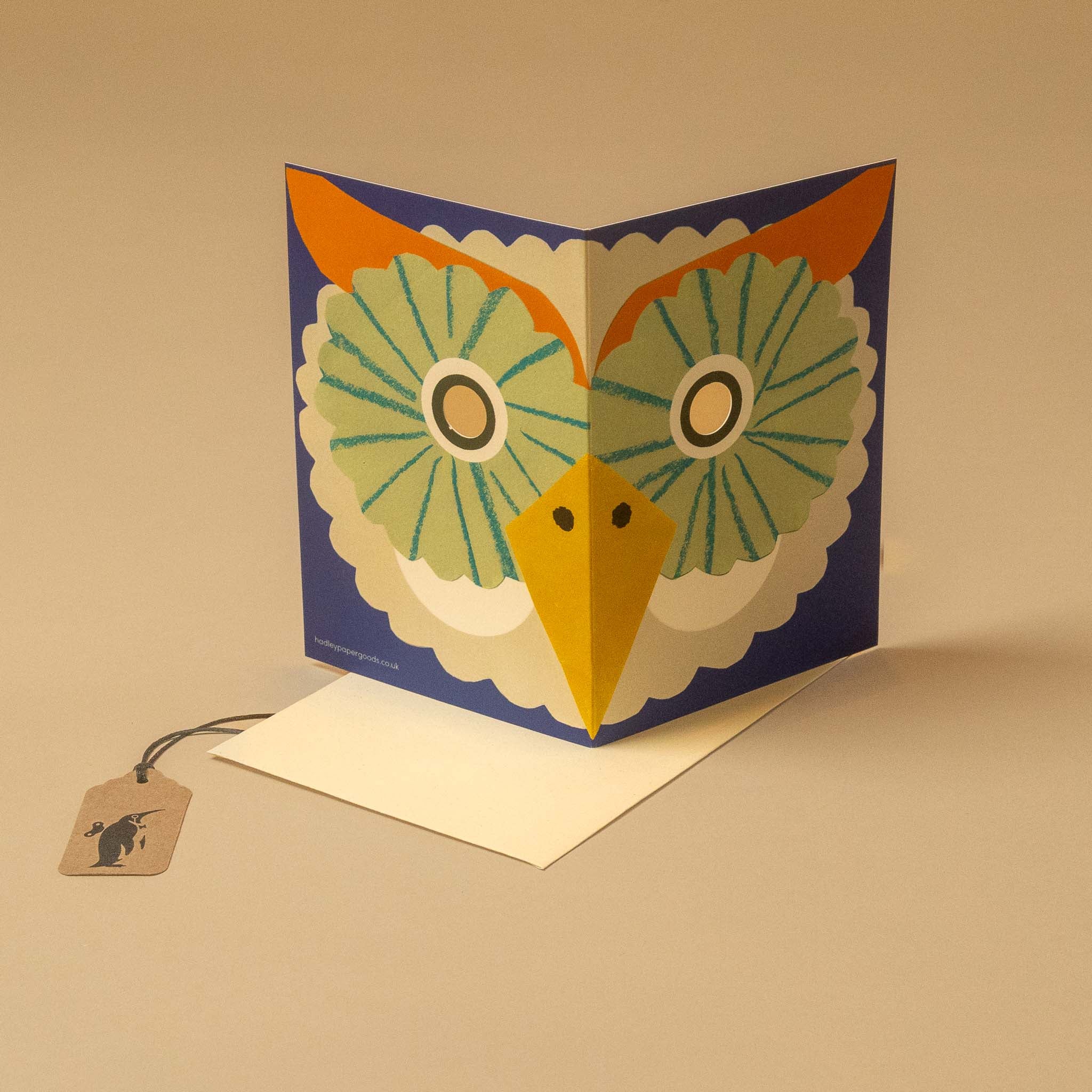 Owl Mask Greeting Card