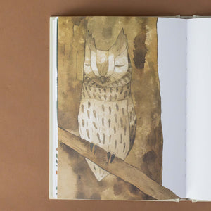 illustration-of-sleeping-owl