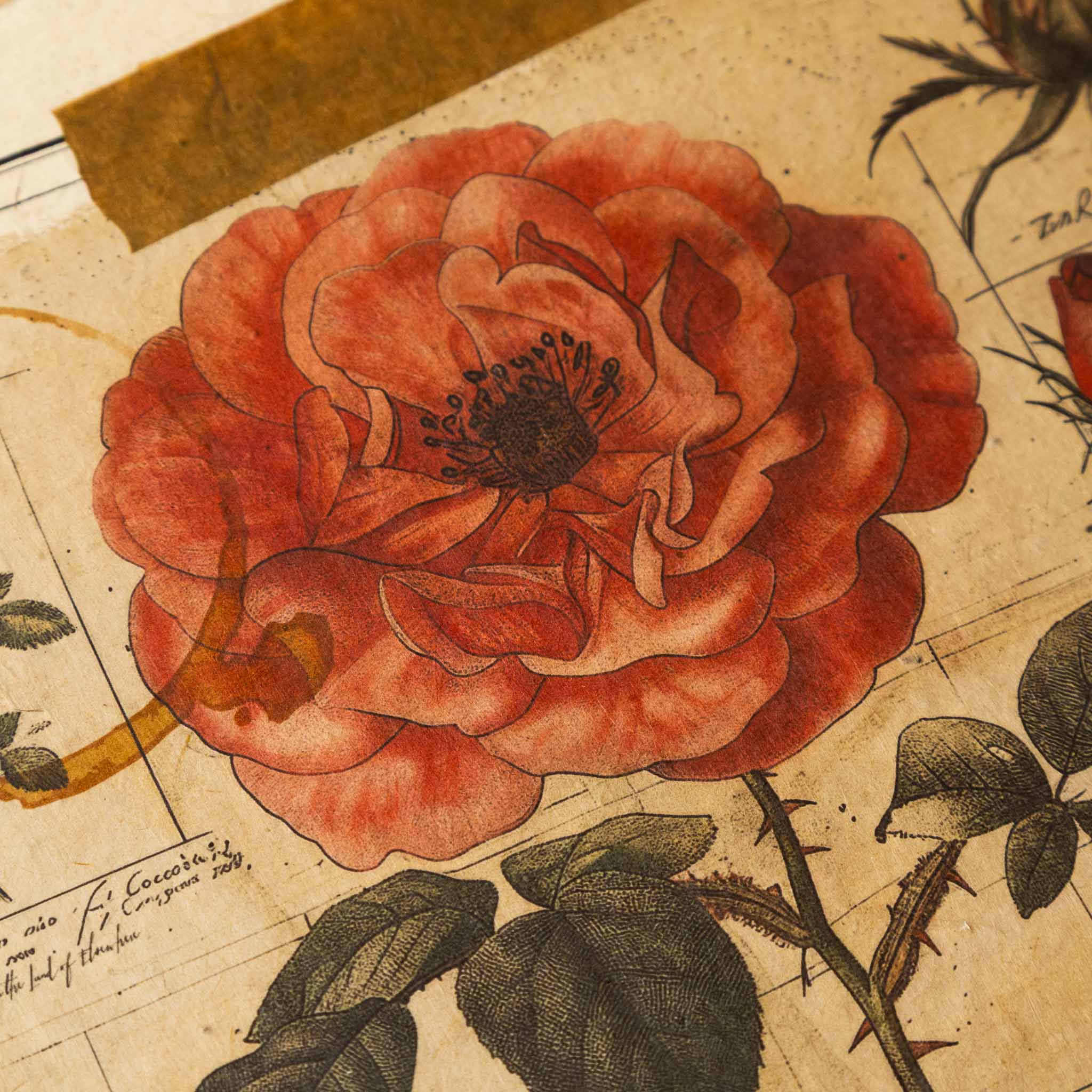 paper-print-seatherny