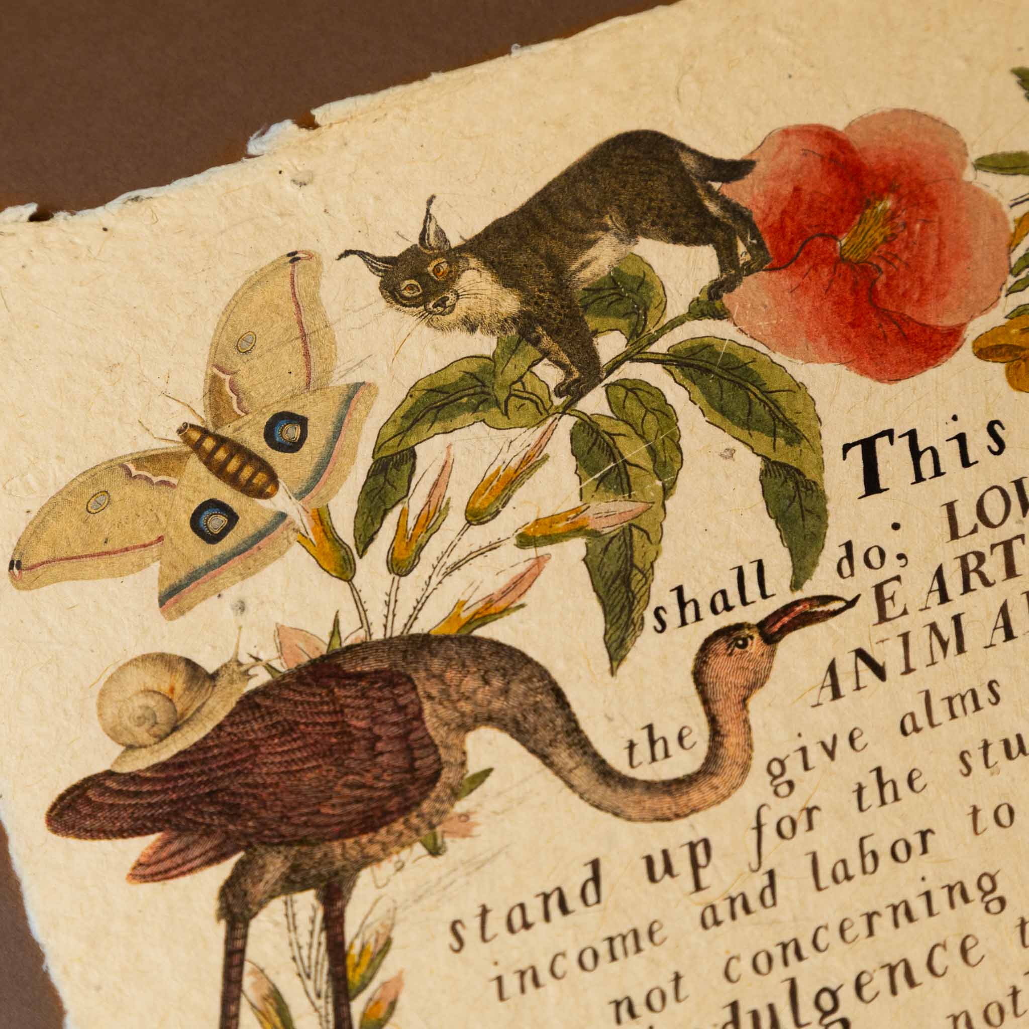 paper-print-this-is-what-you-shall-do