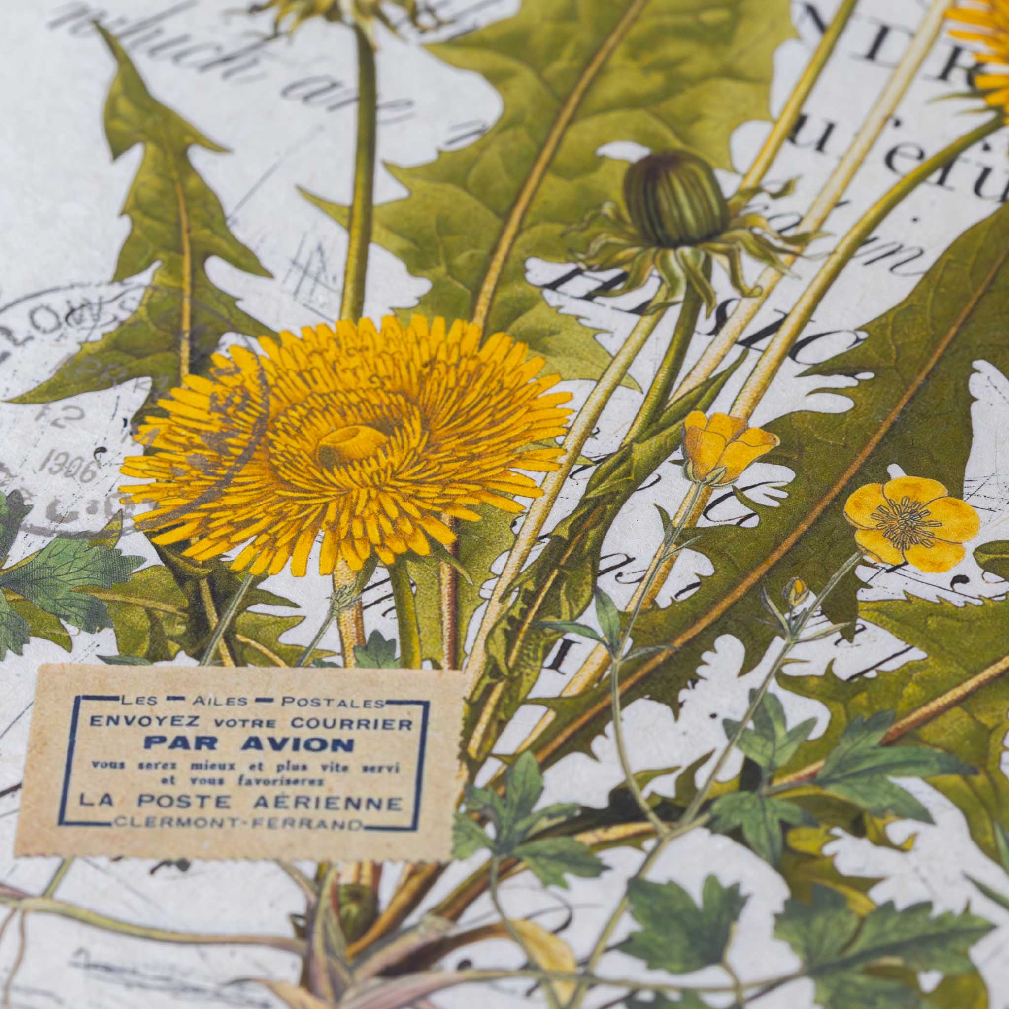 paper-print-be-a-weed-image-of-dandelions-and-bees-along-with-script-text-in-antique-style