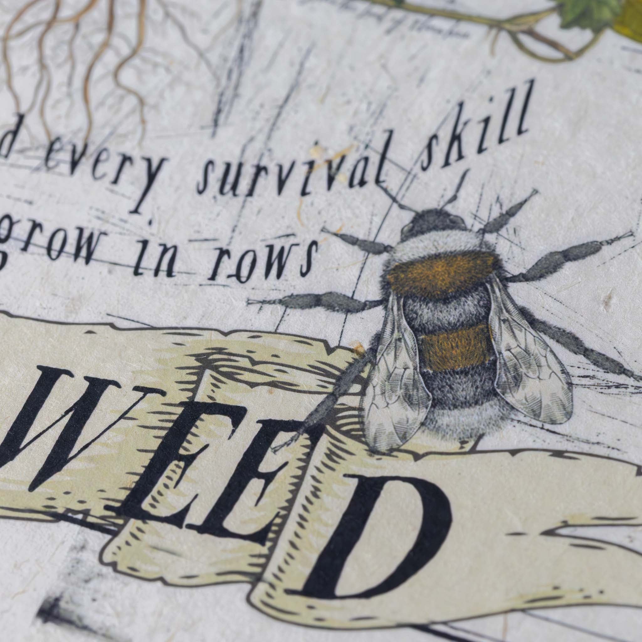 paper-print-be-a-weed-image-of-dandelions-and-bees-along-with-script-text-in-antique-style