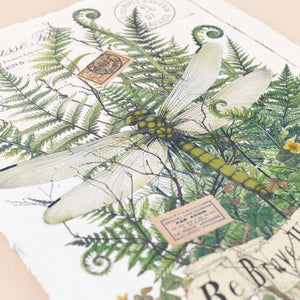 detail-of-dragonfly-above-ferns-and-stamps-for-vintage-imagery