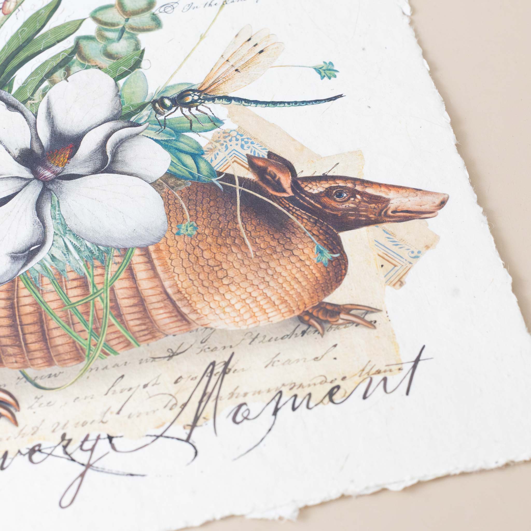 paper-print-enjoy-every-moment-print-of-armadillo-dragonfly-and-flora-and-fauna-along-with-old-style-script