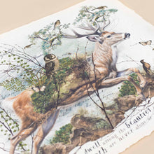 Load image into Gallery viewer, detail-of-owl-and-deer-with-grass-moss-saddle-and-unlying-script-in-vintage-sepia-look