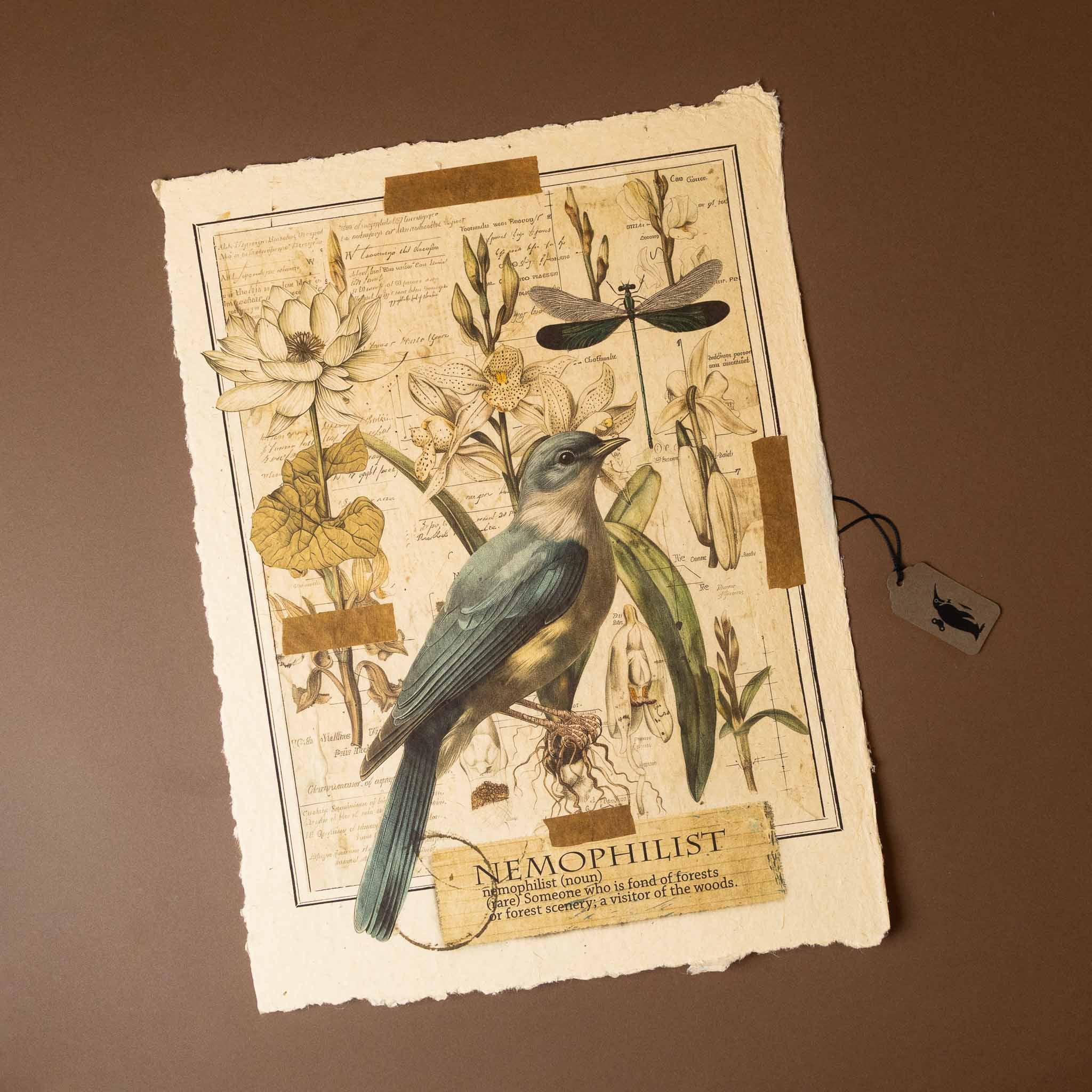 Vintage-style paper-print-nemophilist of a bird and plants on a textured paper background