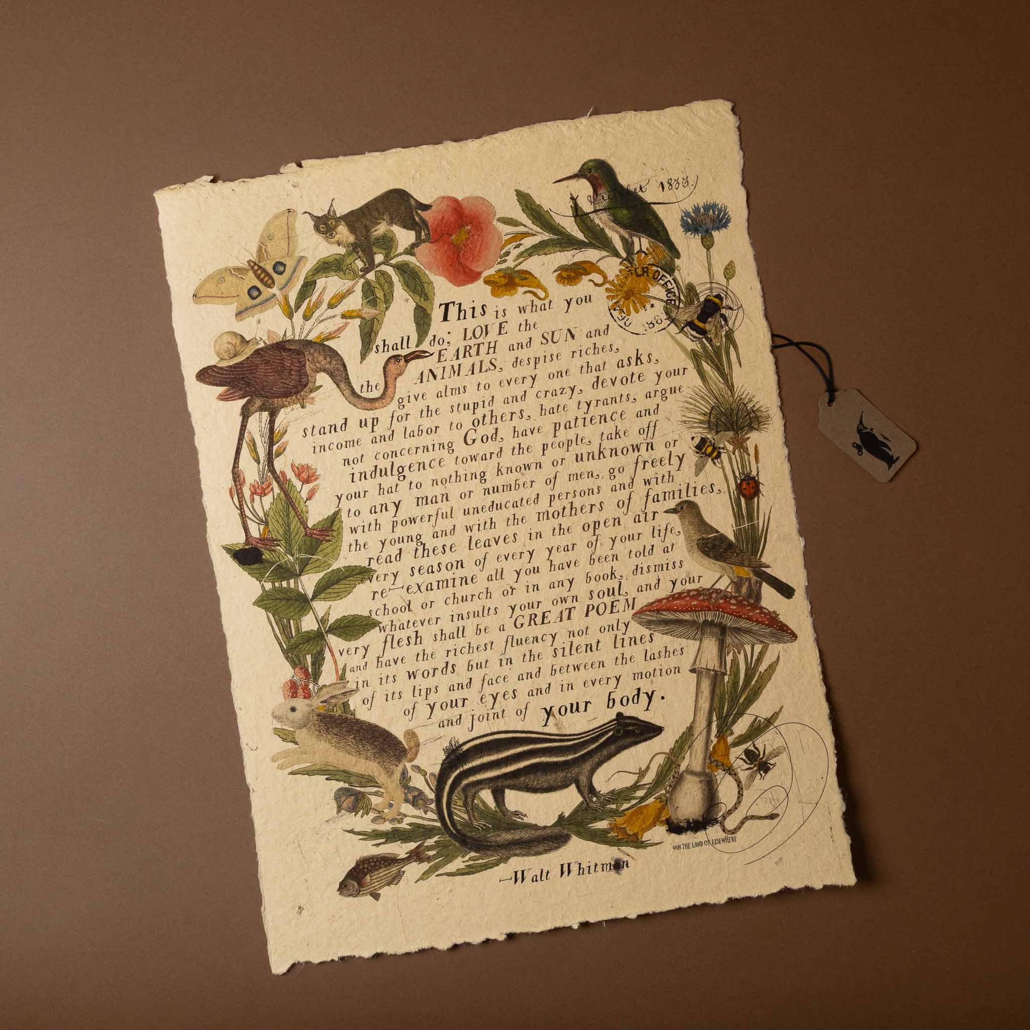 paper-print-this-is-what-you-shall-do with nature-themed illustrations and text on a brown background
