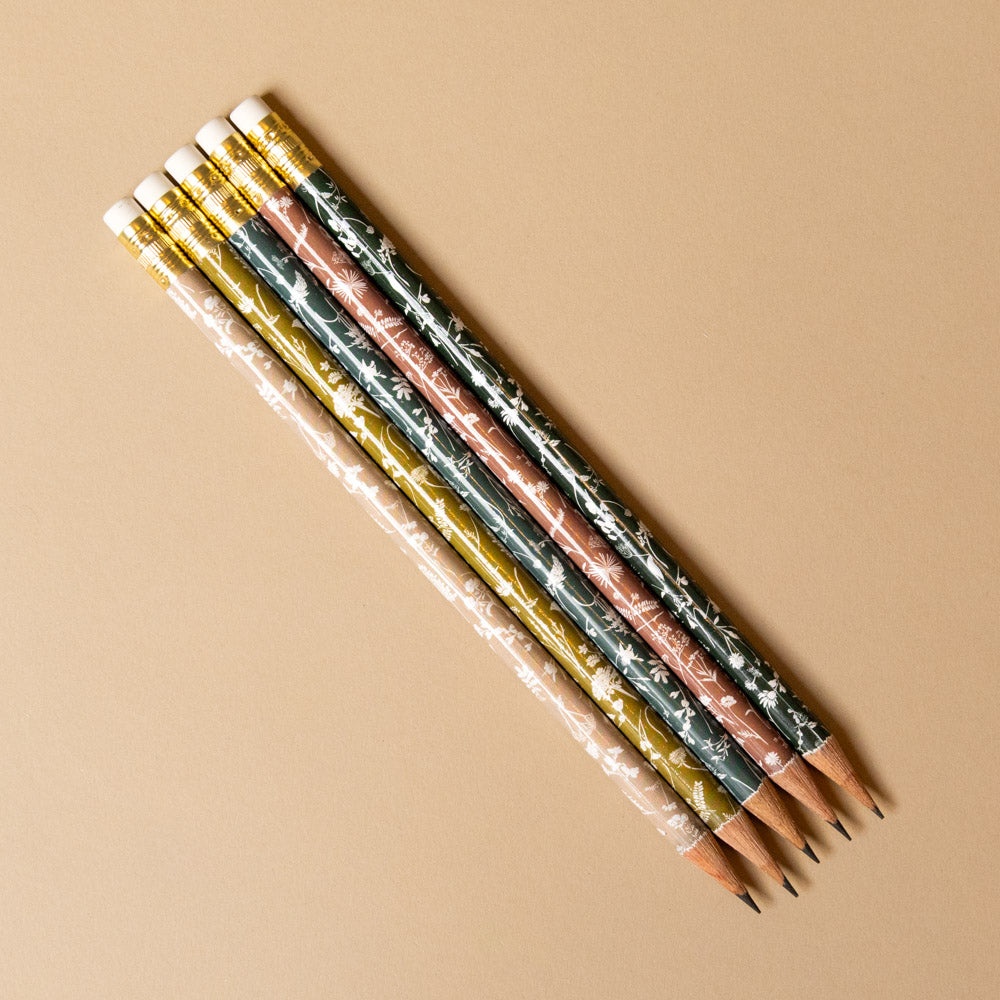 Set of five patterned pencils in clear pencil-terrarium-element packaging on a beige background