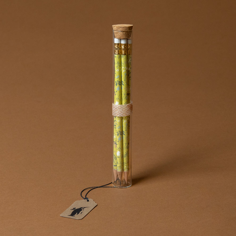 Set of green pencils in a clear cylindrical tube with a cork lid on a brown background