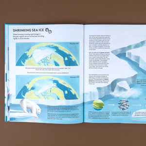 section-titled-shrinking-sea-ice-with-earth-ice-illustrations