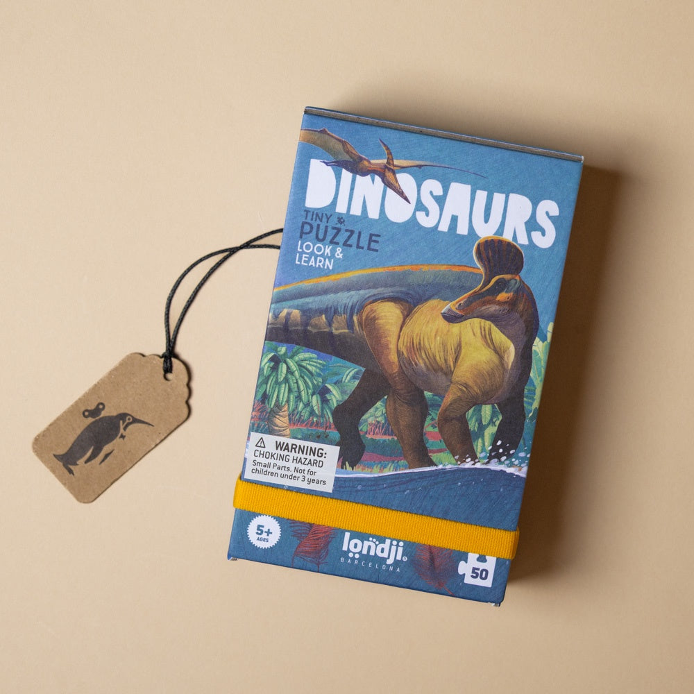 petite-24-piece-observation-puzzle-dinosaurs