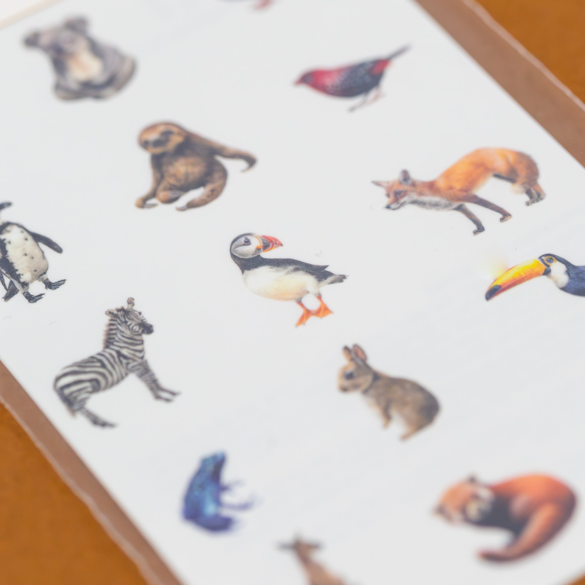 petite-animal-kingdom-temporary-tattoo-pair