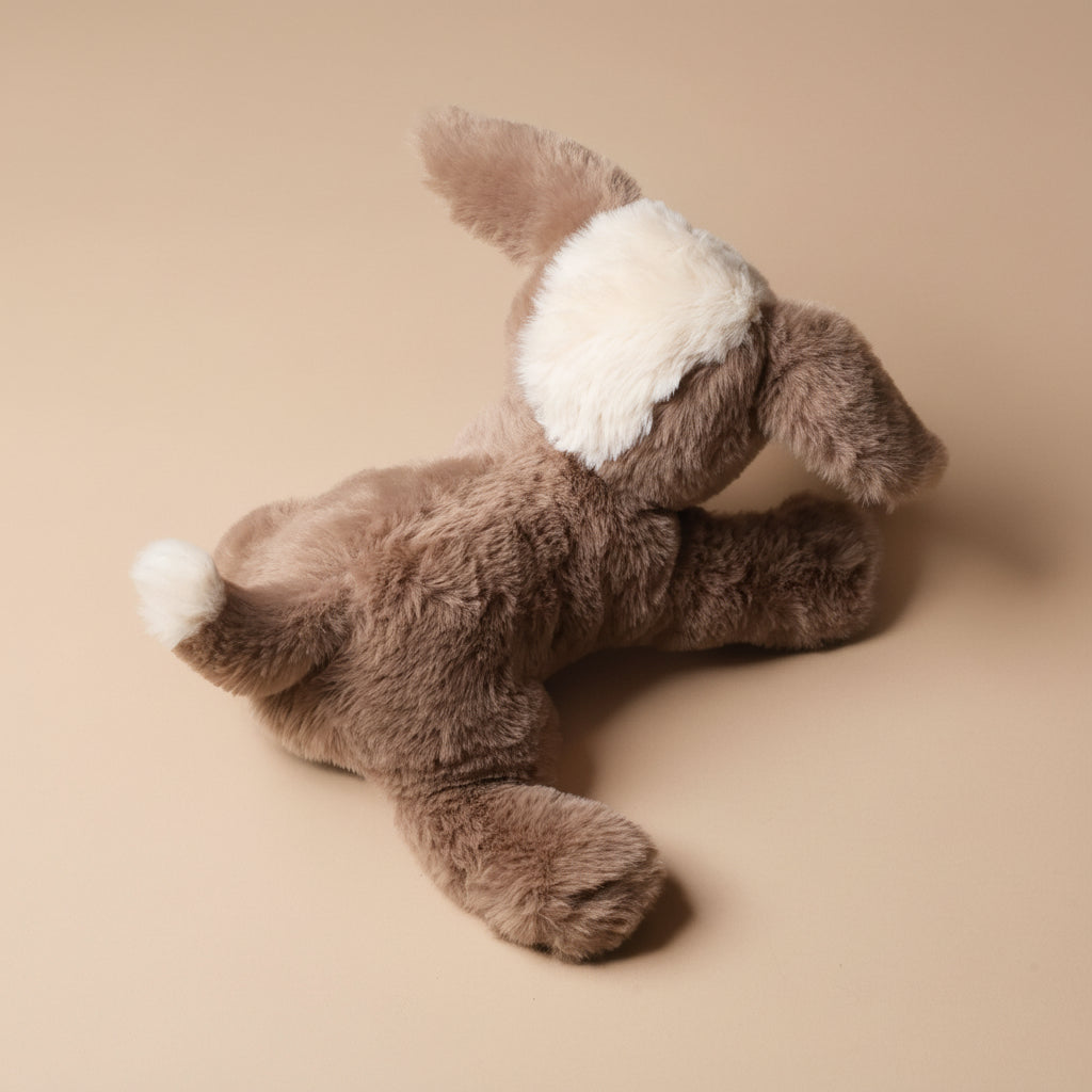 petite-floppy-mutt-toffee