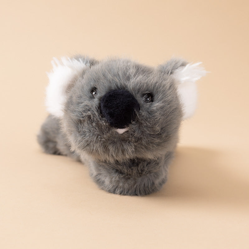 petite-gluepot-koala_stuffed-animal