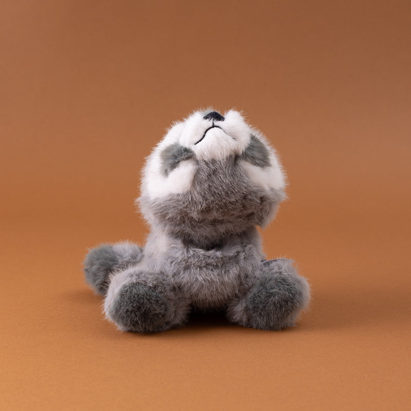 petite-gluepot-raccoon stuffed-animal