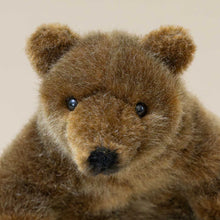 Load image into Gallery viewer, petite-brown-grizzly-bear-sitting-stuffed-animal-face-detail-with-snout-and-clear-eyes