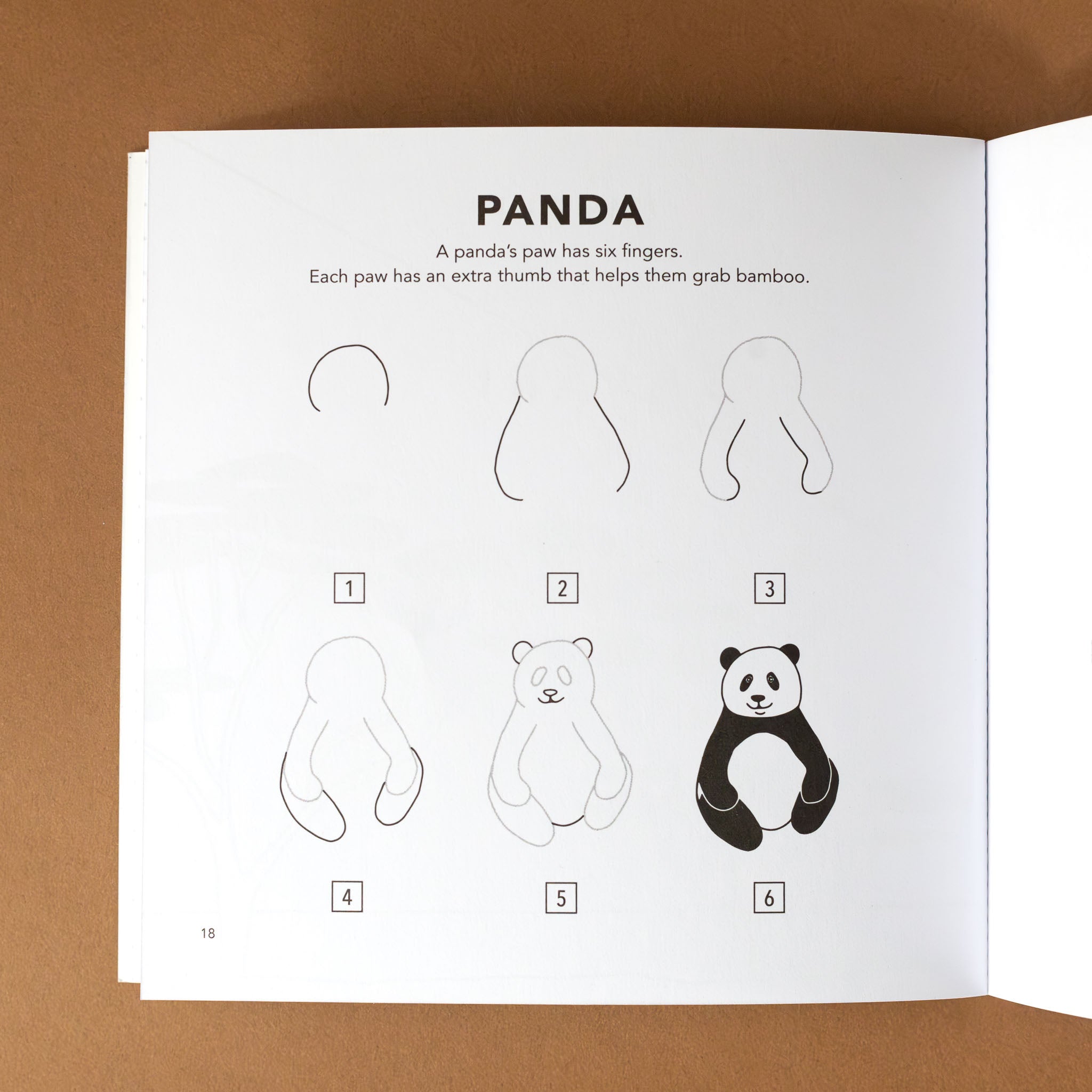 section-titled-panda-with-six-stages-of-evolution-of-drawing-a-panda-and-text