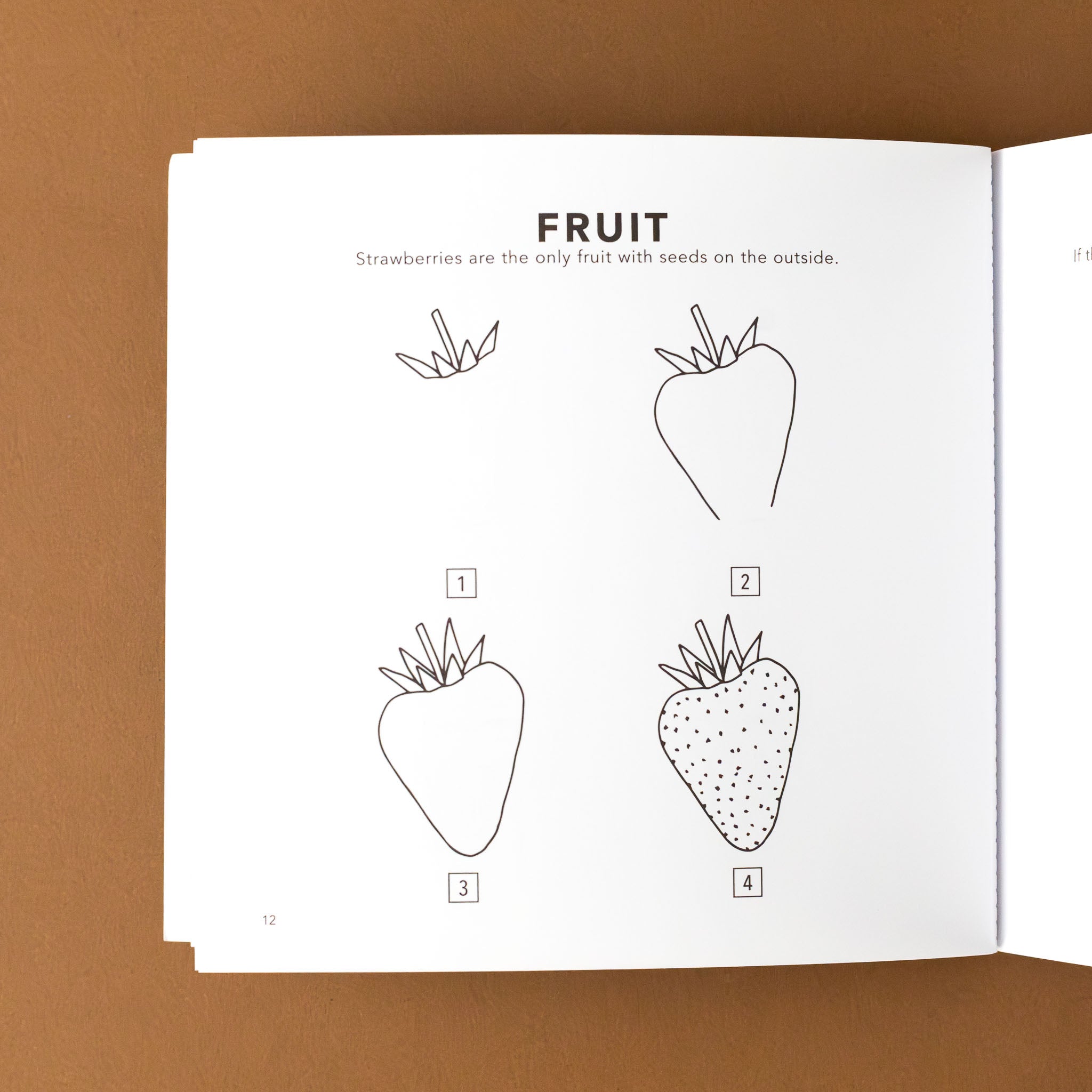 section-titled-fruit-with-step-by-step-illustration-of-a-strawberry