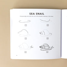 Load image into Gallery viewer, section-titled-sea-snail-with-6-illustrations-of-the evolution