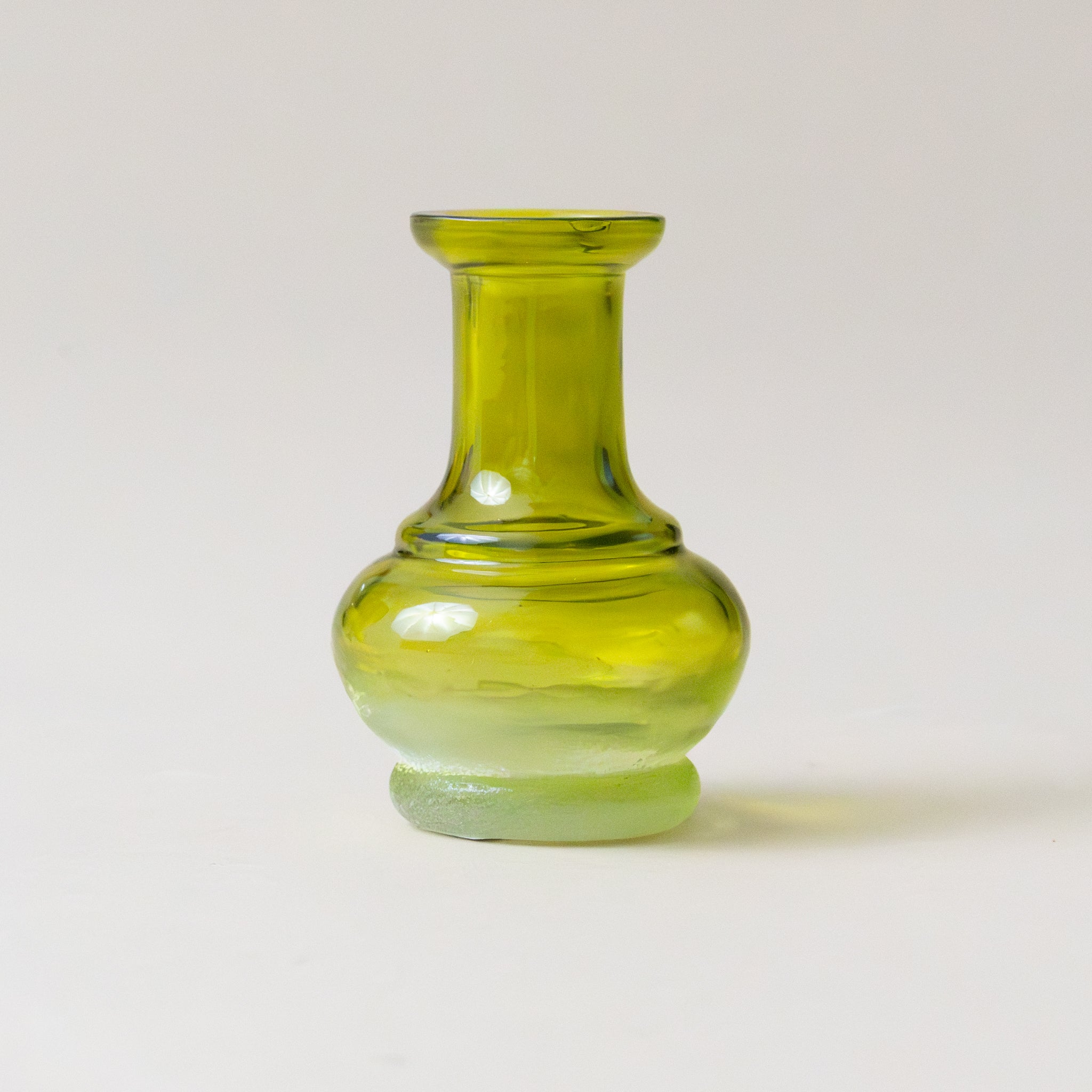 petite-ornate-glass-vase-assorted-fern